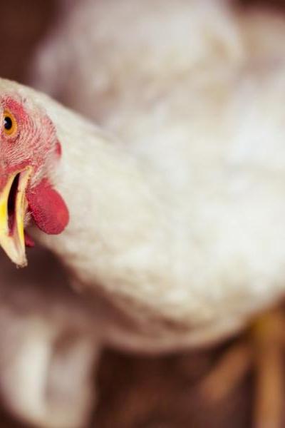 12-nature-farm-photography