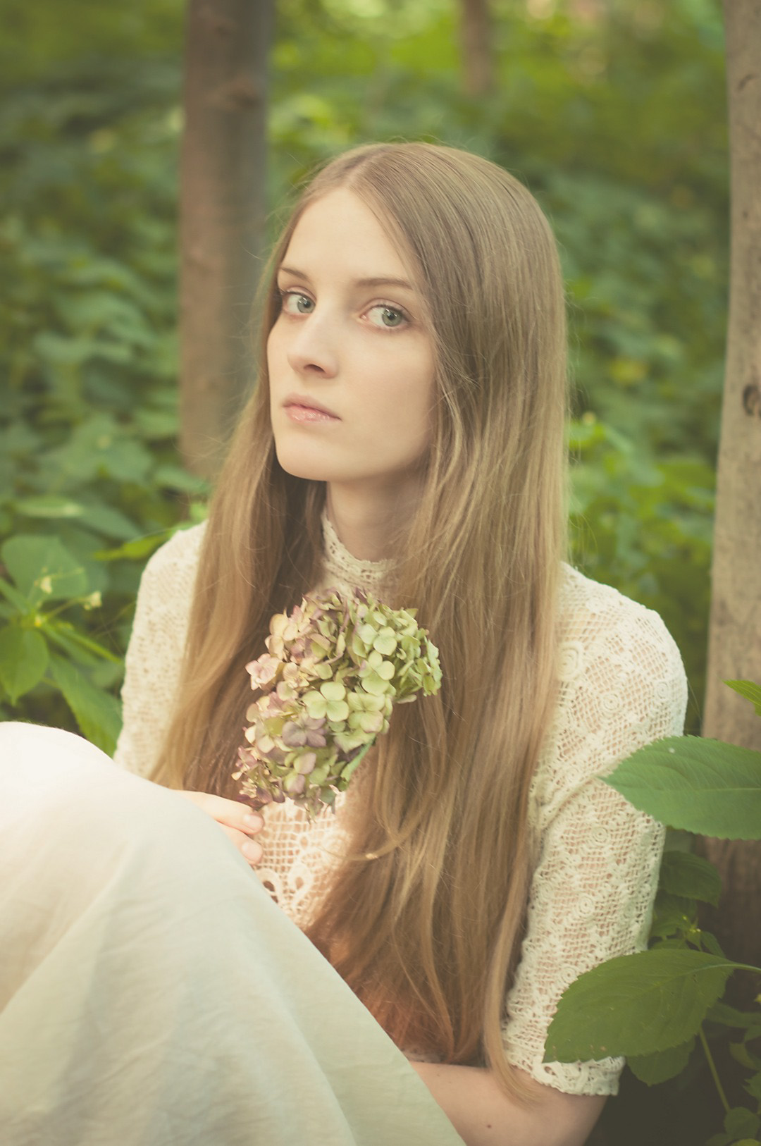 17-pictures-in-the-forest-photography