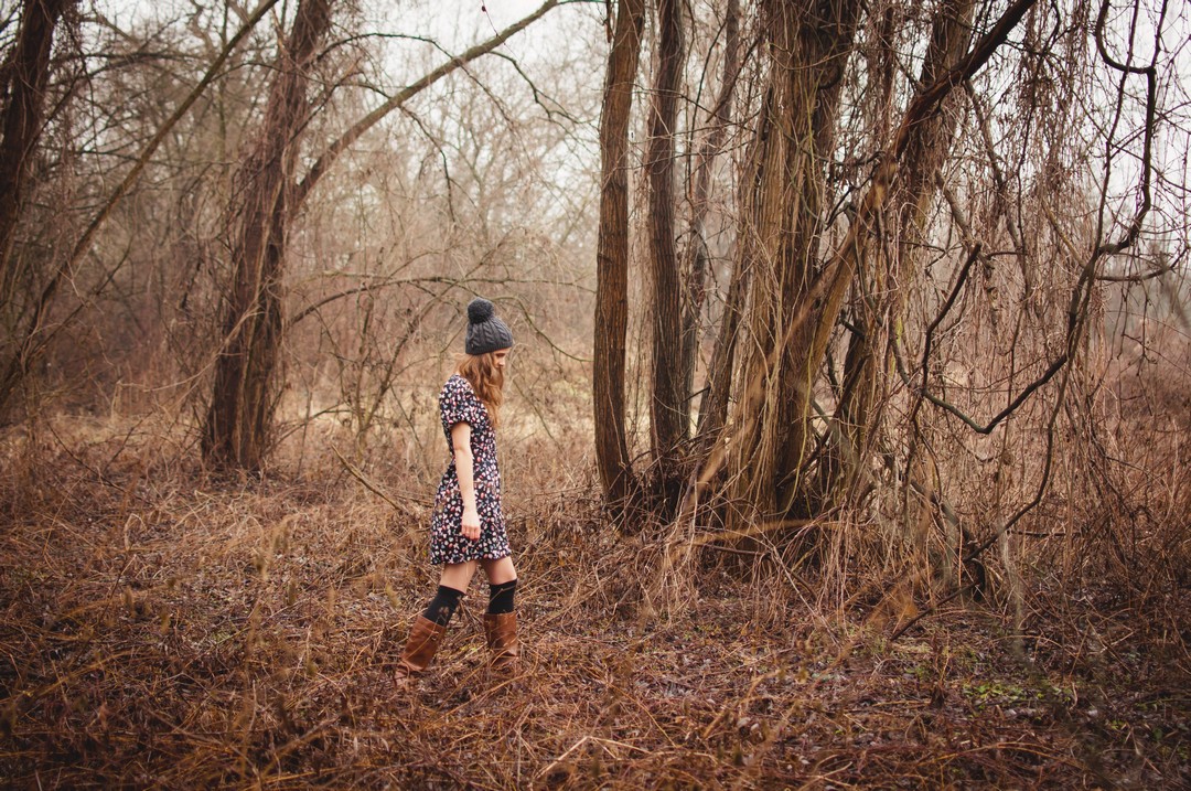 18-nature-forest-north-session