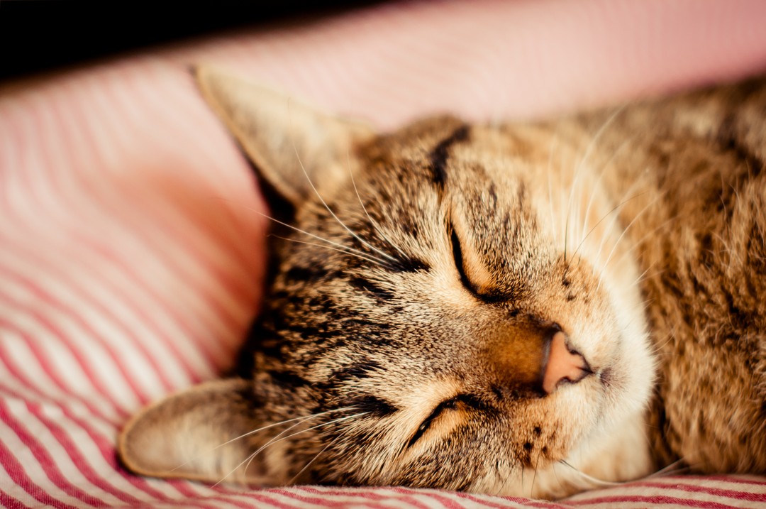 2-cute-pictures-photography