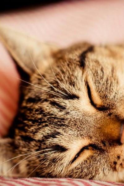 2-cute-pictures-photography