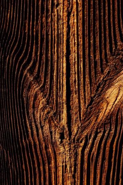 23-natural-wood-photostories